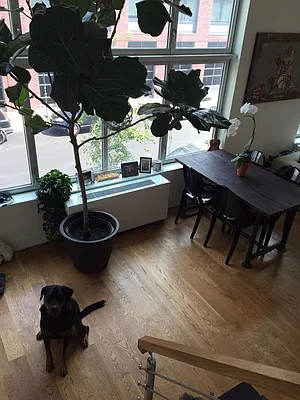 Rented by Loom Group | media 8