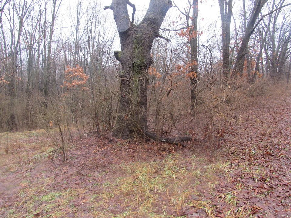 2nd image of 2150 W River Rd