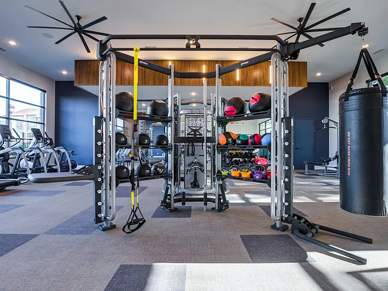 Training Equipment in Fitness Center