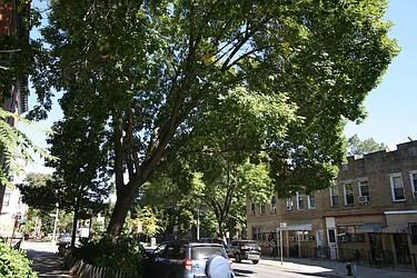 Rented by Dwell Residential Inc