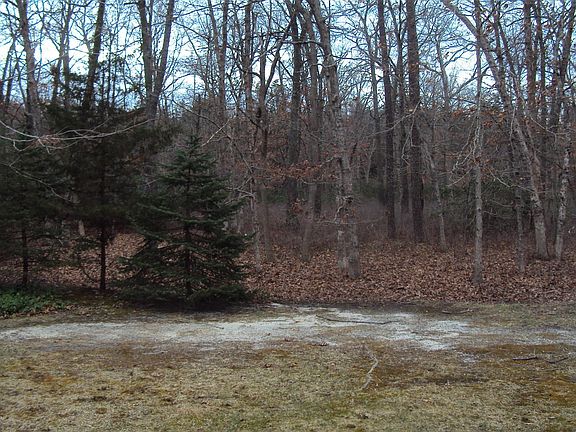 5th image of 529 Petunia Lane N