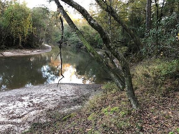 2nd image of 34460 Hwy 441