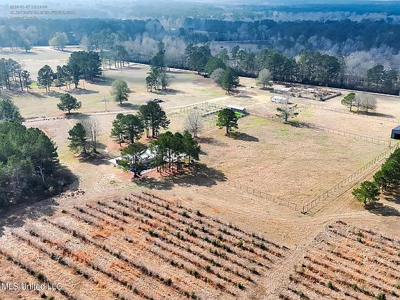 3rd image of 1082 Double M Ln #M