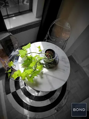 Rented by Bond New York | media 2