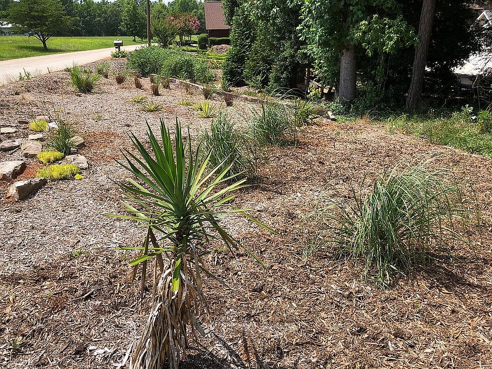 New xeriscaped area by road