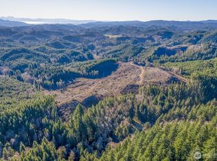 0 W Deep River Rd, Naselle, WA 98638