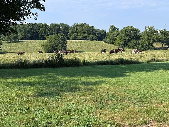 2nd image of 707 S Rustic Rd