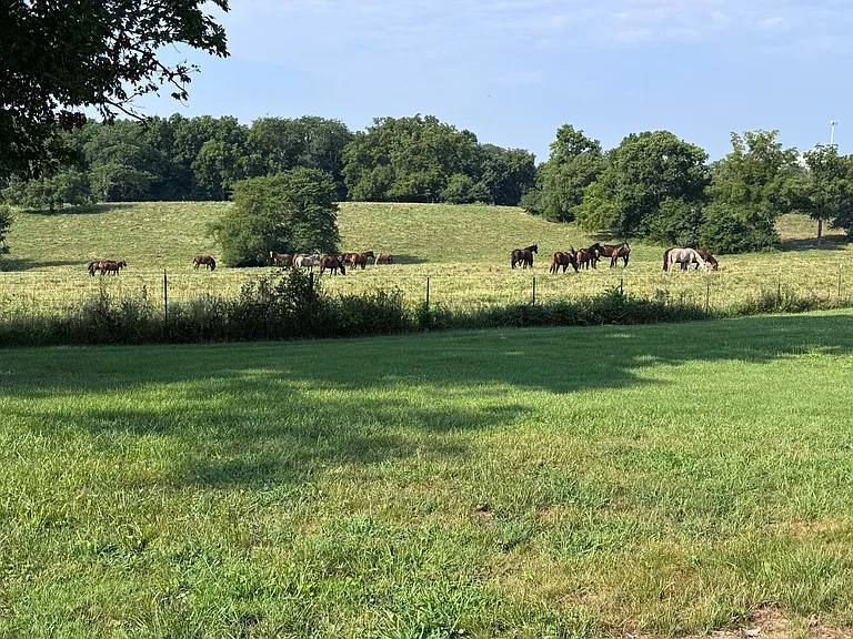 707 S Rustic Rd — Photo 2