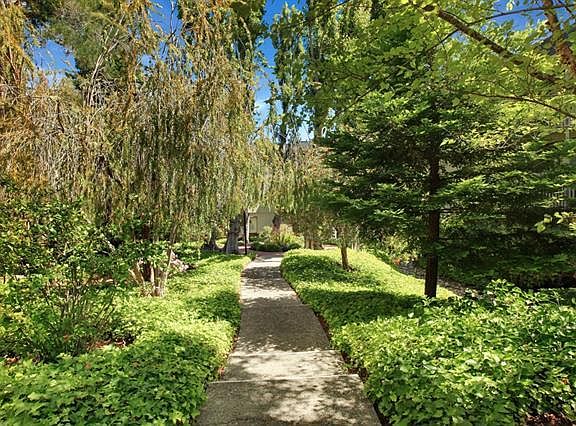 3rd image of 2221 Shelter Creek Ln