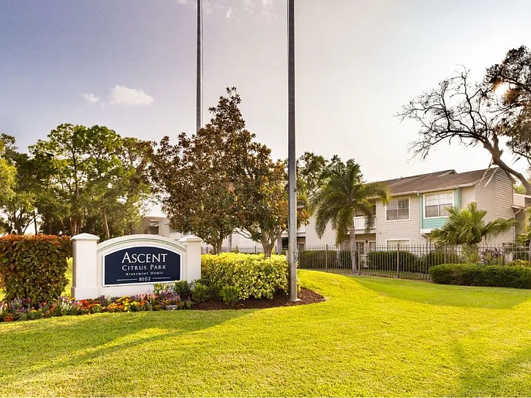 Ascent Citrus Park — Photo 11