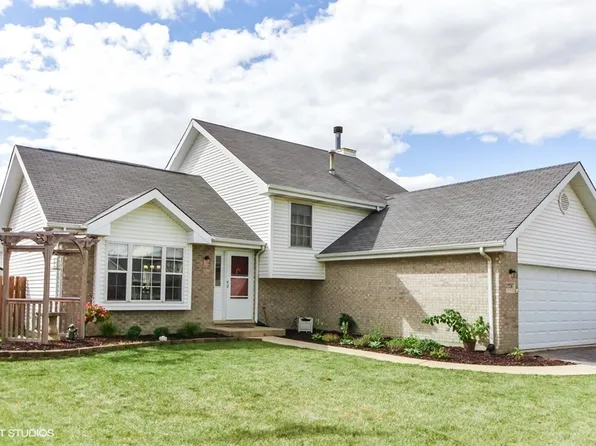 25726 S Taft St, Monee, IL 60449