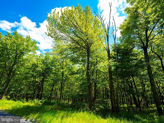 4th image of LOT 181 Rockwood Trl