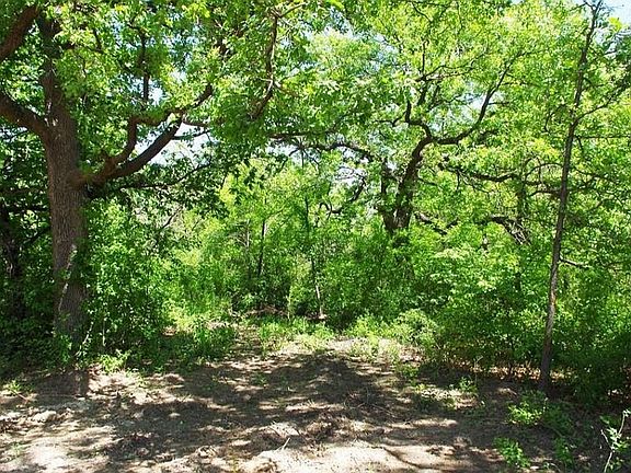 4th image of Timber Creek Dr #15