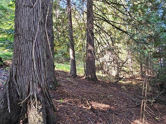 4th image of Nna S Poplar St