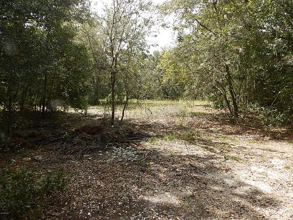 4th image of 11838 N Monica Dr