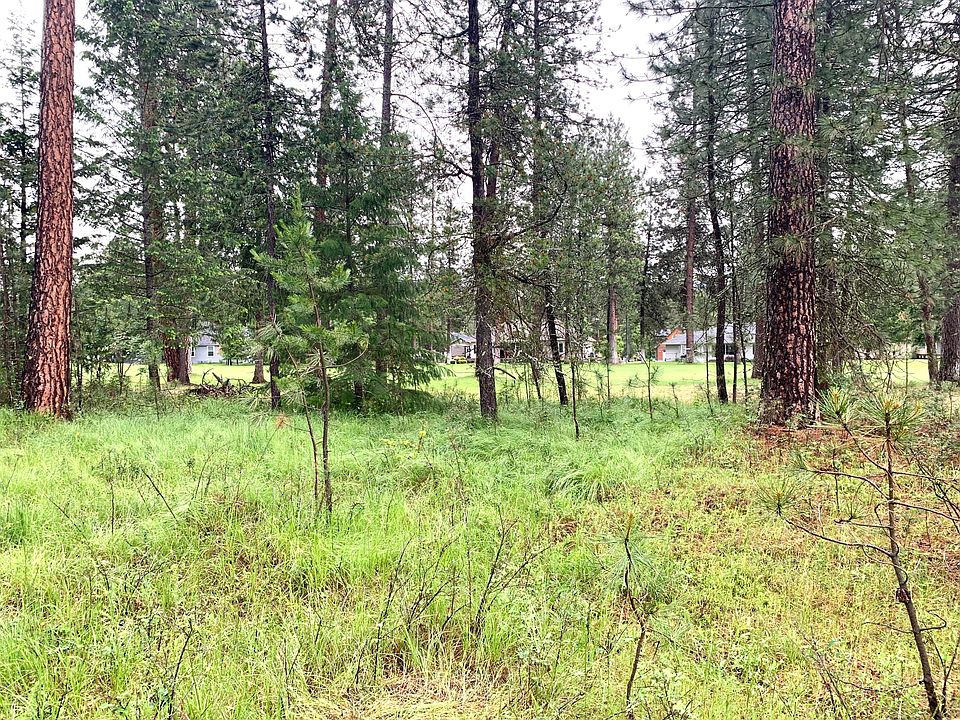 2nd image of 335 Hogans Way