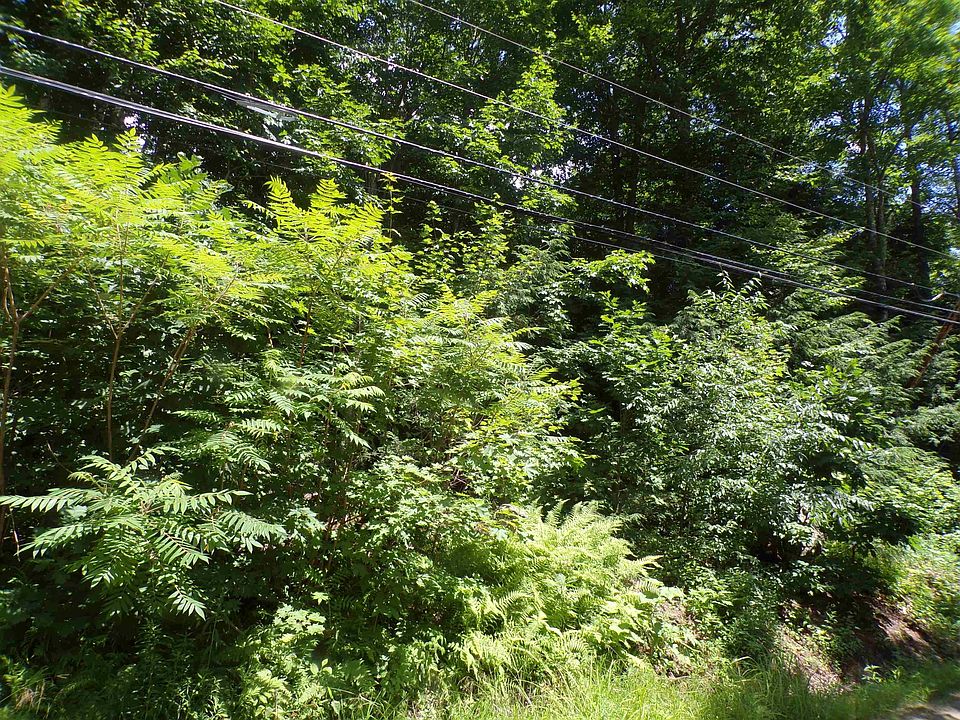 2nd image of Lot 14 Eastman Shore Road