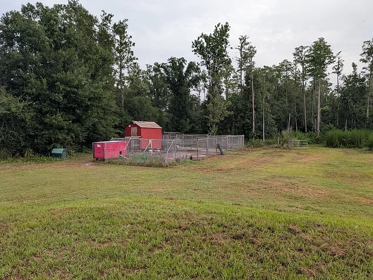 6806 Pearson Ln — Photo 24