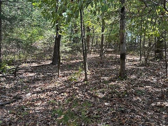 2nd image of Concord Ln