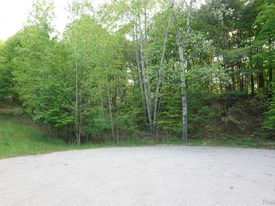 0 Buckridge Ct, Rapid City, MI, 49676