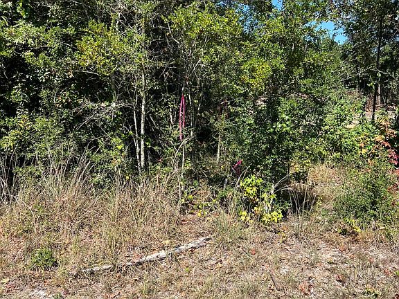 4th image of Matthews Rd