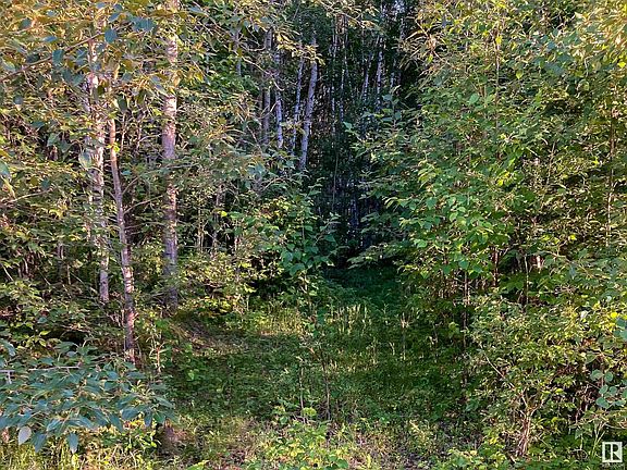 2nd image of 3 Range Road 60 #53424