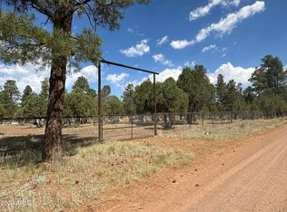 2864 Deer Trl #40, Overgaard, AZ 85933