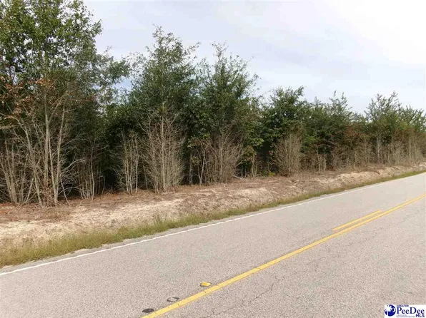 Carroll Rd, Marion, SC 29571