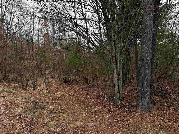 3rd image of 988 Dover Road