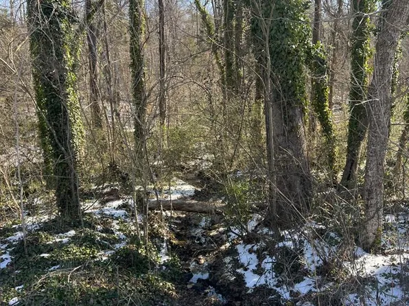 Willingham Ave, South Boston, VA 24592