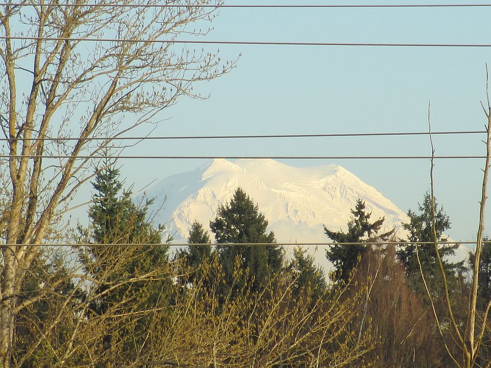 1st image of 8039 45th Ave SW