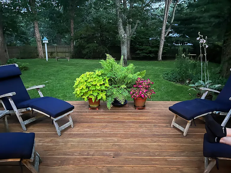 36 Lynn Ave — Photo 19