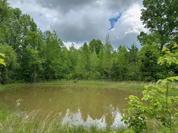 2060 Shreve Rd, Fordsville, KY 42343