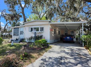 10704 Myakka Loop, Riverview, FL 33569