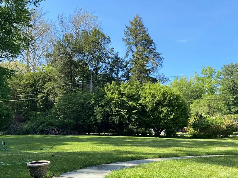 Front yard of property. Lush lawn and Many speciman trees.