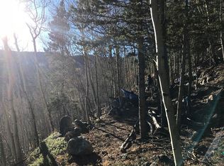 0 Loch Lomond Rd LOT 67, Idaho Springs, CO 80452