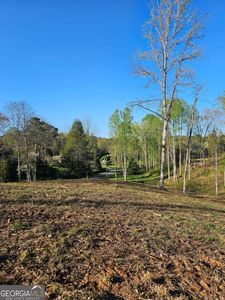0 Cascade Point #20 & 21, Ellijay, GA, 30540