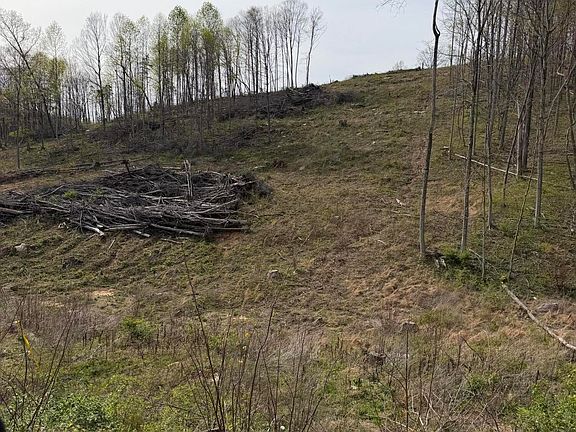 2nd image of Track 4 White Rock Rd #4