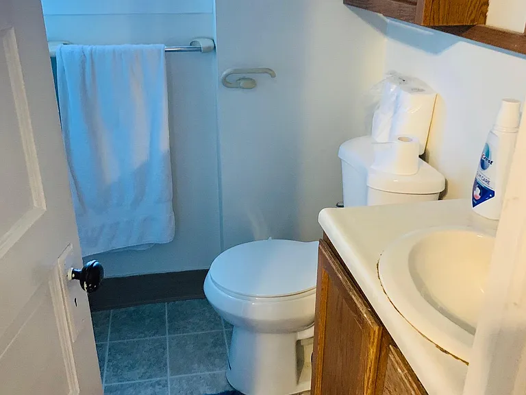 510 Wealthy St SE #2 — Photo 7