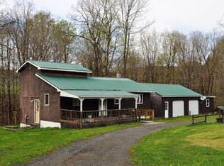 1031 E Creek Rd, Blossburg, PA 16912
