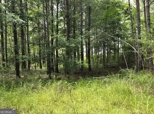 0 State Highway 199 S, Rockledge, GA 30454