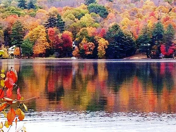 Fall foliage on lake