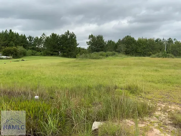 1305 Elim Church Rd NE, Ludowici, GA 31316