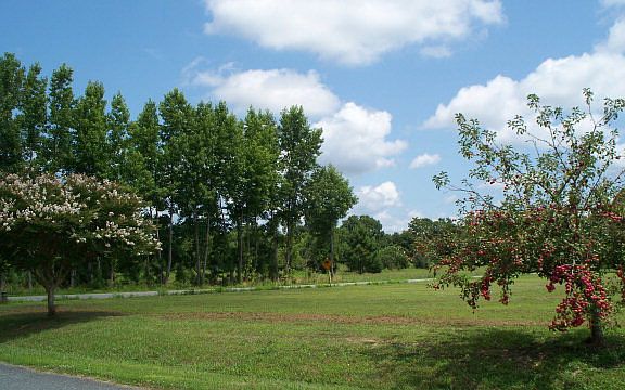 4th image of LOT 1 Nandua Hts