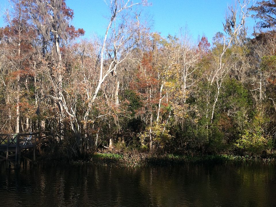 2nd image of Cypress Knee Rd