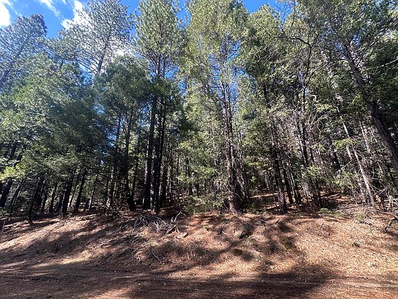 2nd image of 0 Rl Smith Lumber Co Rd