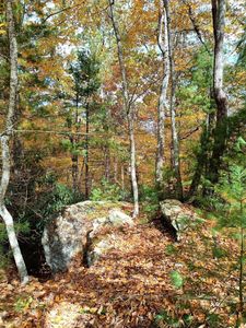 297 Reed Hill Rd NW, Floyd, VA, 24091