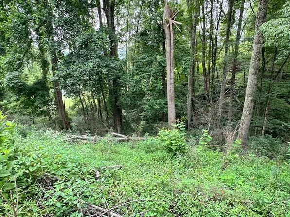 0 Bluejay St, Cedar Bluff, VA 24609