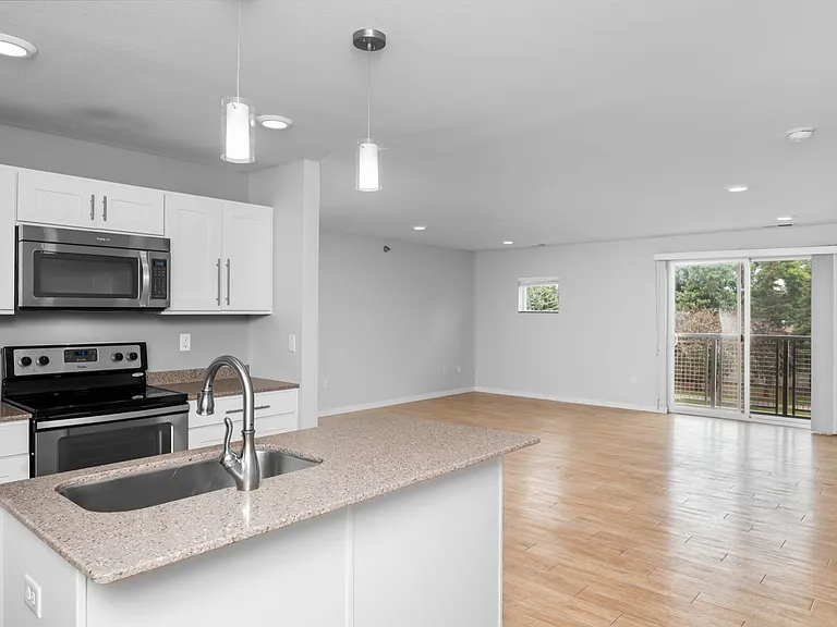 Modern open-concept living space featuring a sleek kitchen with stainless steel appliances, expansive hardwood floors, and abundant natural light. Modern open-concept living space featuring a sleek kitchen with stainless steel appliances, expansive hardwo