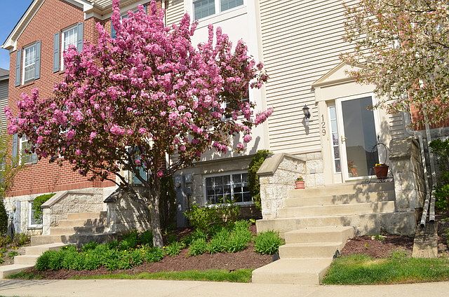 1st image of 129 Willow Blvd